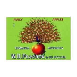  WD Peacock Fancy Apples 20x30 poster