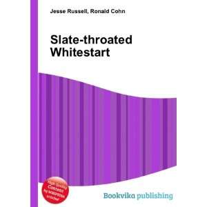  Slate throated Whitestart Ronald Cohn Jesse Russell 