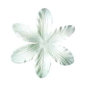   Bazzill Paper Flowers   White Lily 3.75 6/Pkg Arts, Crafts & Sewing