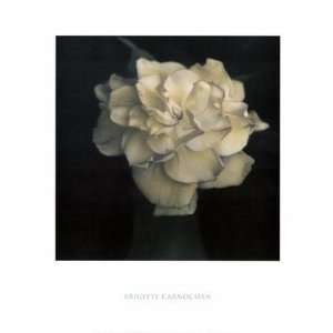  Gardenia in Green Vase by Brigitte Carnochan 16x18