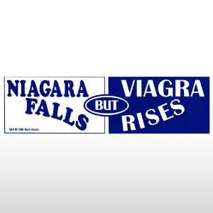  375 Niagara Falls   Bumper Sticker Toys & Games