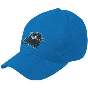 Reebok Carolina Panthers Panther Blue Basic Logo Wool Blend Adjustable 