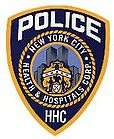 New York City Health & Hospital Police Department HHPD Collar Brass 