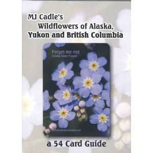   Wildflowers of Alaska, Yukon, and British Columbia Toys & Games