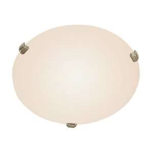   Lighting Indoor Collection White Finish 2 Lt Flush 3 Clips Opal Glass