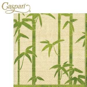  Caspari Paper Napkins 10590C Bamboo Silk Green Cocktail Napkins 
