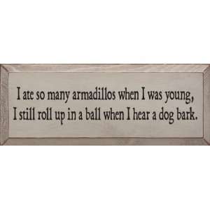  I Ate So Many Armadillos When I Was Young Wooden Sign 