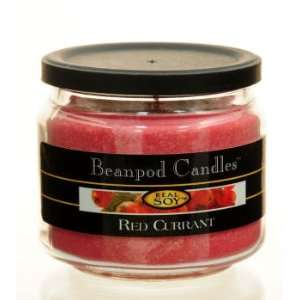  Soy Basics Beanpod Red Currant Soy Candle 4.5 Ounce Jar 