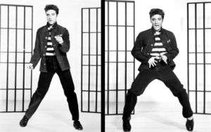 ELVIS PRESLEY POSTER Amazing Shots   Early Years RARE  
