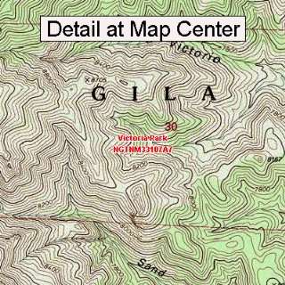  USGS Topographic Quadrangle Map   Victoria Park, New 