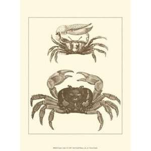 Sepia Crabs I by Unknown 10x13 