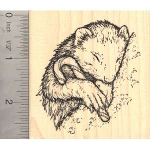  Ferret with Candy Cane (Carmel Corn) Rubber Stamp Arts 
