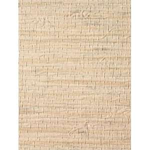   PJ 3687 Vinyl Arrowroot   Green Tea Wallpaper