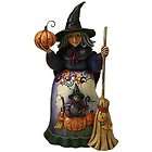 Jim Shore Halloween Heartwood Creek BeWitch with Cat and Pumpkin Scene 