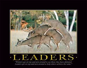 LEADERS WHITETAIL DEER SHEDS ANTLERS ART BOW HUNTING, MOTIVATIONAL 