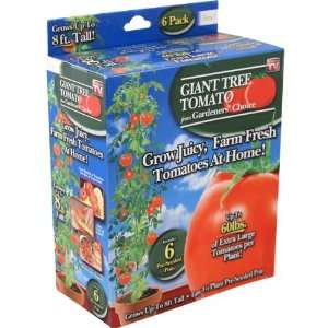  As Seen On TV Giant Tree Tomato Case Pack 24
