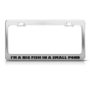 Big Fish In A Small Pond Humor license plate frame Stainless