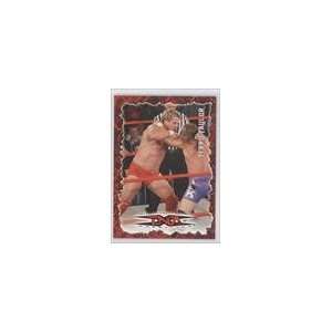  2004 Pacific TNA Red #49   Terry Taylor