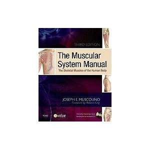  Muscular System Manual The Skeletal Muscles of the Human 