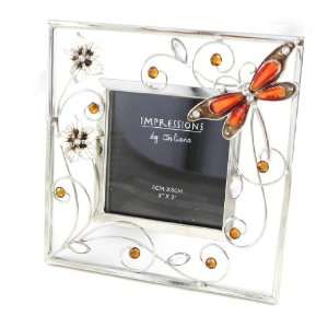  Picture frames Libellule De Soie orange.