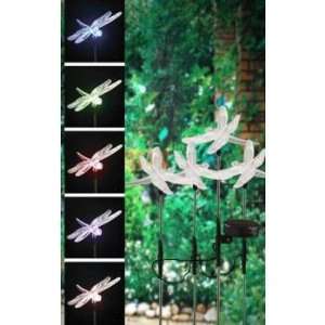   Solar Power Dragonfly Yard Stake Set of 4 Case Pack 16