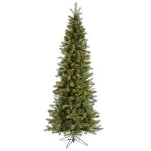   42 Albany Spruce Slim 500 Clear Lights Christmas Tree (A114081