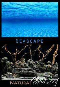 24 x 12 Ocean Sea Blue/Driftwood Aquarium Background  