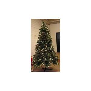    6.5 Pre Lit Virginia Spruce Christmas Tree 