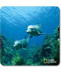 National Geographic Dolphin Mouse Pad  