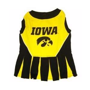  Iowa Hawkeyes Cheerleader Dog Dress