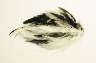 HACKLE FEATHER PAD BLACK/WHITE 7 X 4 INCHES  