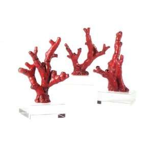  Set of 3 Mounted Red Tree Coral