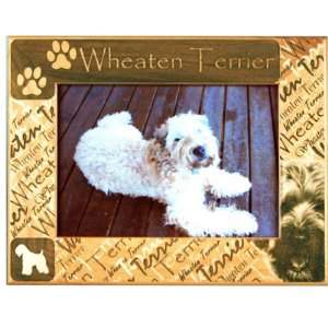 Wheaten Softcoat Terrier  5 x 7 Engraved Alderwood Picture Frame 