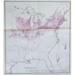  US Census Map of Foreign Populations (1872) Office 