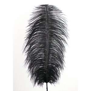  18 20in Black Ostrich Feather. 6 Feather in a Pack Arts 