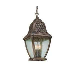  Biscayne Collection 23 High Outdoor Hanging Light