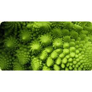  Romanesco Mouse Pad