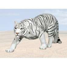 White Tiger Statue Limited Ed.  