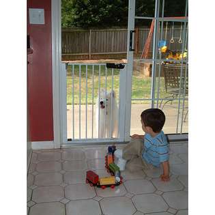 Child Safety Gate With Pet Door  