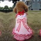   SZ08 JDGZ 2 Cute Pink Plaid & Bow Tie Design Dress for Dogs   Size 2