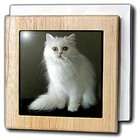 3dRose LLC Cats   White Persian   Tile Napkin Holders
