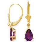 Element Jewelry 14k Gold & Amethyst Teardrop Earrings