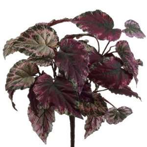  17 Begonia Silk Plant  33 Leaves  2 Tone Purple (case of 