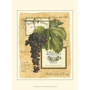   Small Red Grapes II   Poster by Vision studio (10x13)
