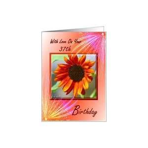   Birthday ~ Sunflower framed with a Fireworks Spray Card Toys & Games