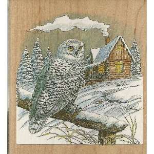   Stampa Rosa ~ Snowy Owl & Cabin Rubber Stamps Arts, Crafts & Sewing