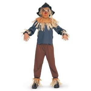 Lets Party By Rubies Costumes The Wizard of Oz Scarecrow Child Costume 