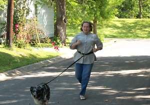 Ft Hands Free Dog Leash Cycling, Jogging  