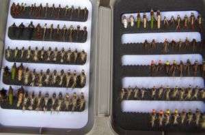 Ultimate Nymph Collection   111 + free slotted fly box  