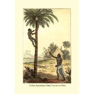  A Man Ascending a Palm Tree for Its Wine 12x18 Giclee on 